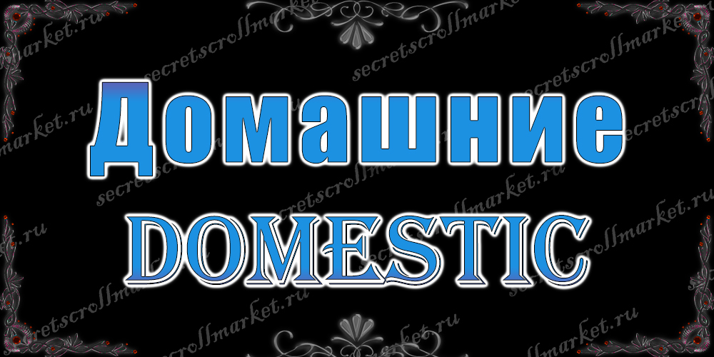 Домашние (Domestic)