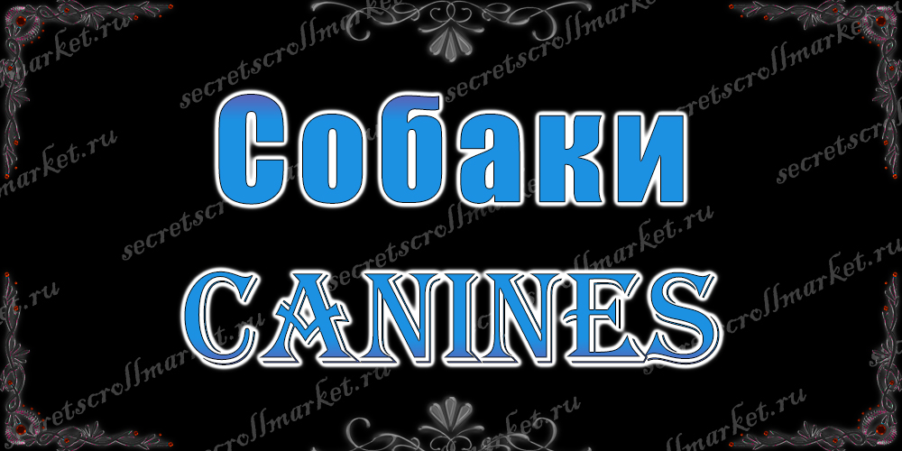 Собаки (Canines)